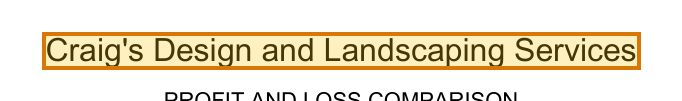 The region of the sample Business Profit and Loss Statement containing Company, with the extracted value outlined