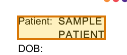 The region of the sample Food Sensitivity Report containing Patient, with the extracted value outlined
